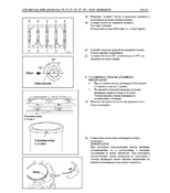 ����������� �� ������� HINO